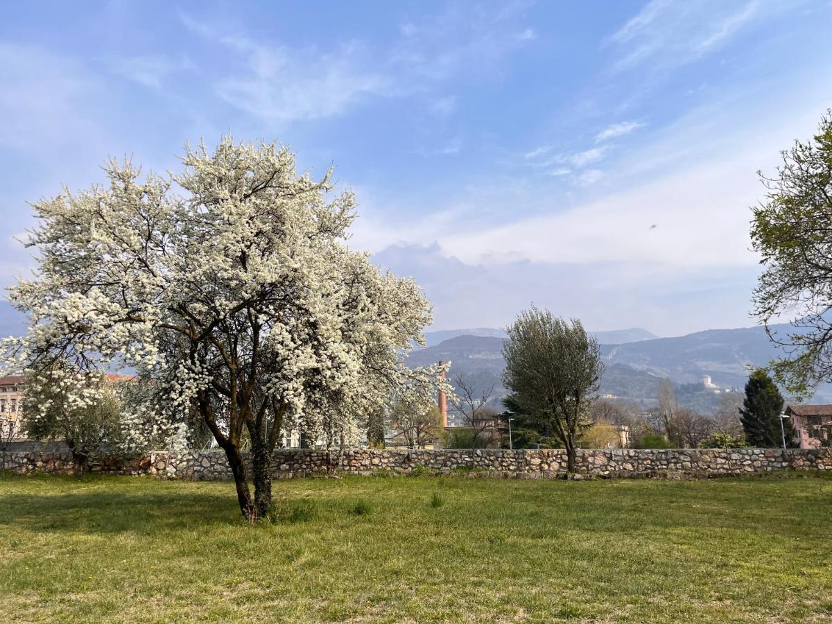 Colle Ameno Room And Breakfast Ροβερέτο Εξωτερικό φωτογραφία